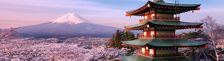cherry-blossom-volcano-mountain-fuji-wallpaper-preview
